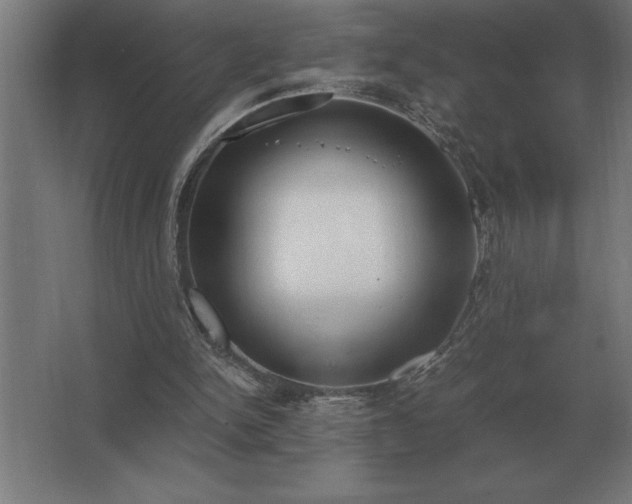 X0000062670150200512281748