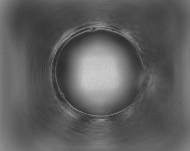 X0000062670151200512281748