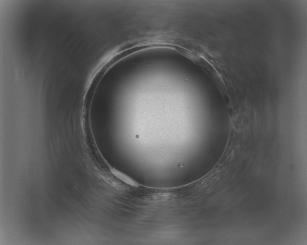 X0000062670152200512281748