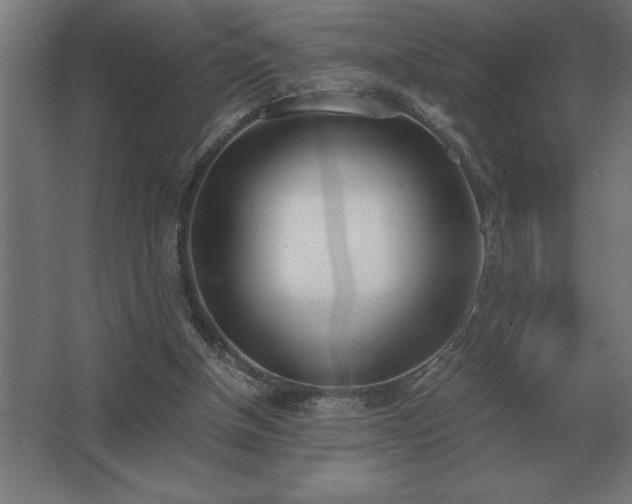 X0000062670154200512281748