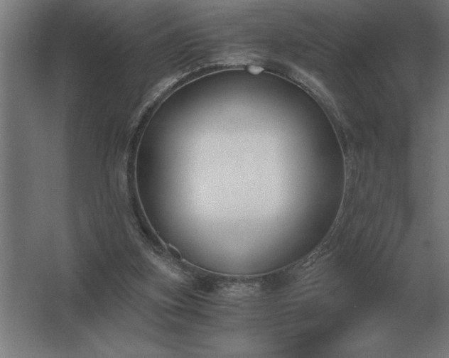 X0000062670155200512281748