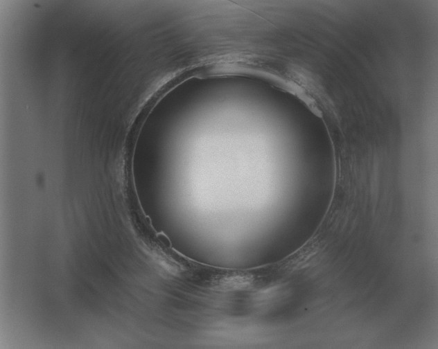 X0000062670156200512281748