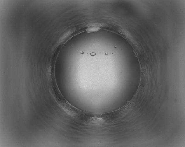 X0000062670159200512281748