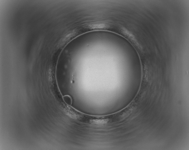 X0000062670161200512281748