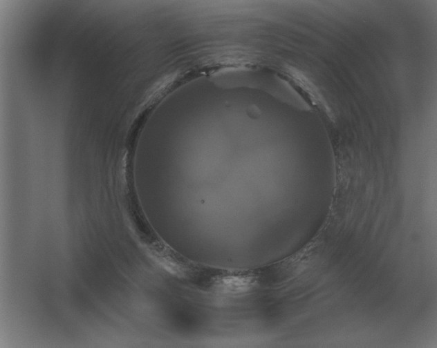 X0000062670163200512281748