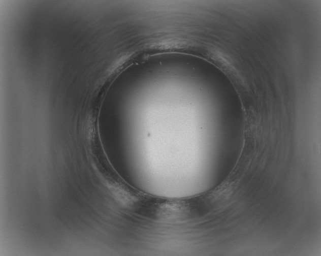 X0000062670164200512281748