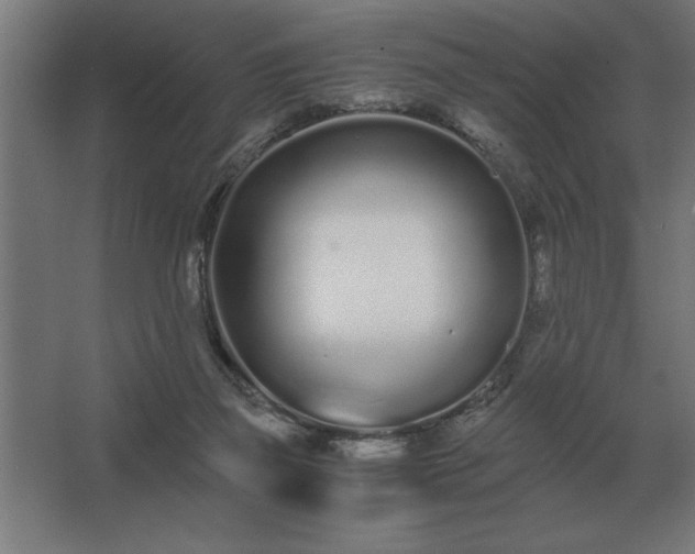 X0000062670165200512281748