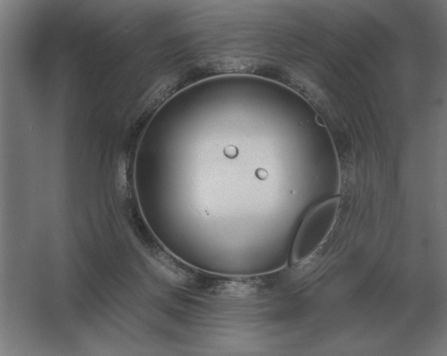 X0000062670166200512281748