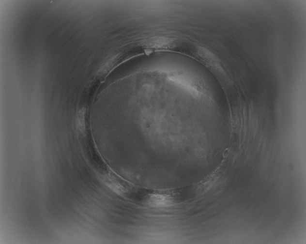 X0000062670167200512281748