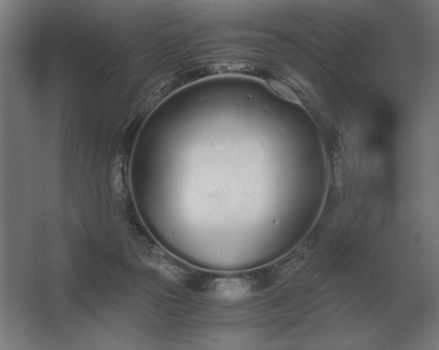 X0000062670169200512281748