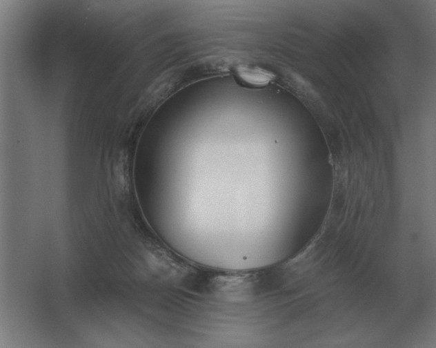 X0000062670170200512281748