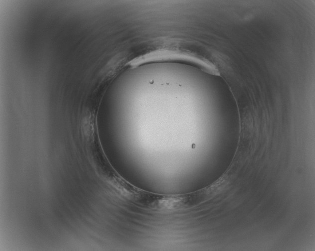 X0000062670172200512281748