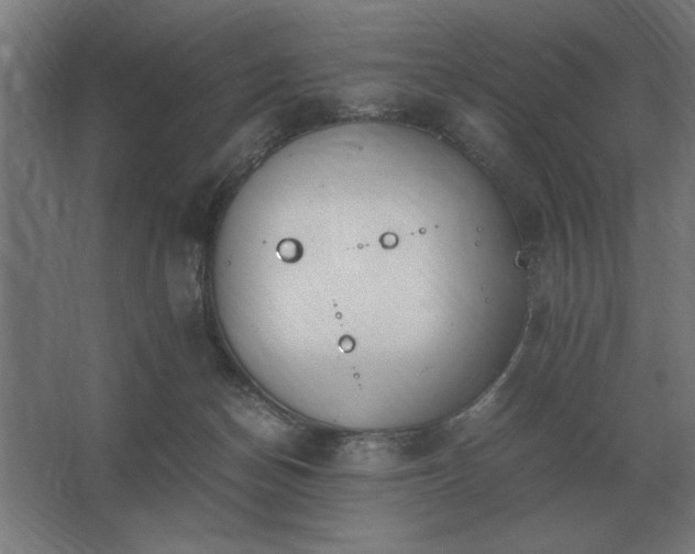 X0000062670174200512281748