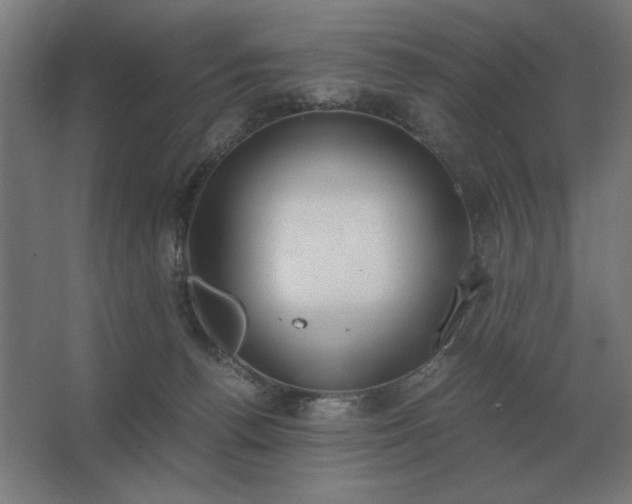 X0000062670176200512281748