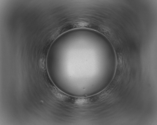 X0000062670177200512281748