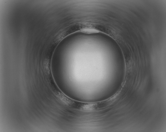 X0000062670178200512281749