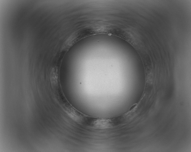 X0000062670179200512281749