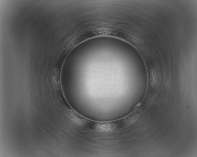 X0000062670181200512281749