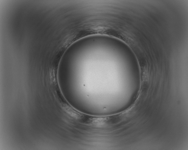 X0000062670182200512281749