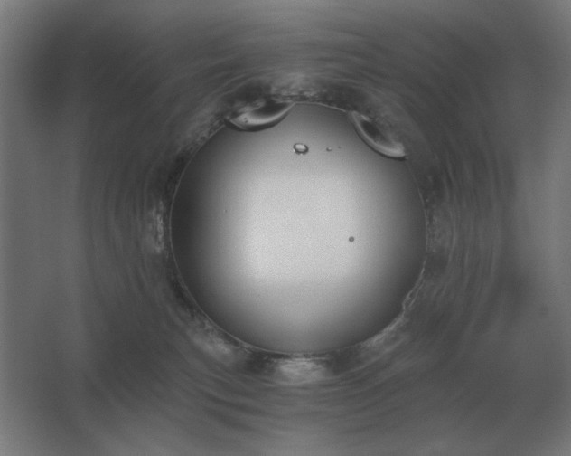 X0000062670183200512281749