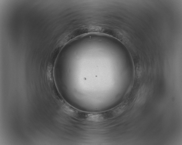 X0000062670185200512281749