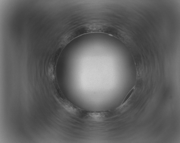 X0000062670187200512281749