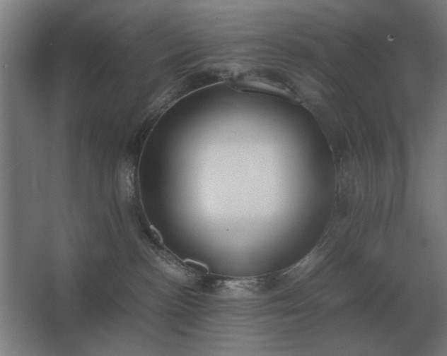 X0000062670188200512281749