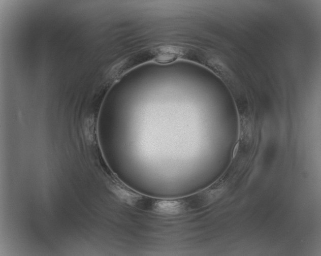 X0000062670189200512281749