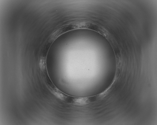 X0000062670191200512281749