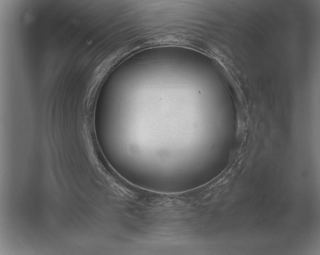 X0000062670193200512281748