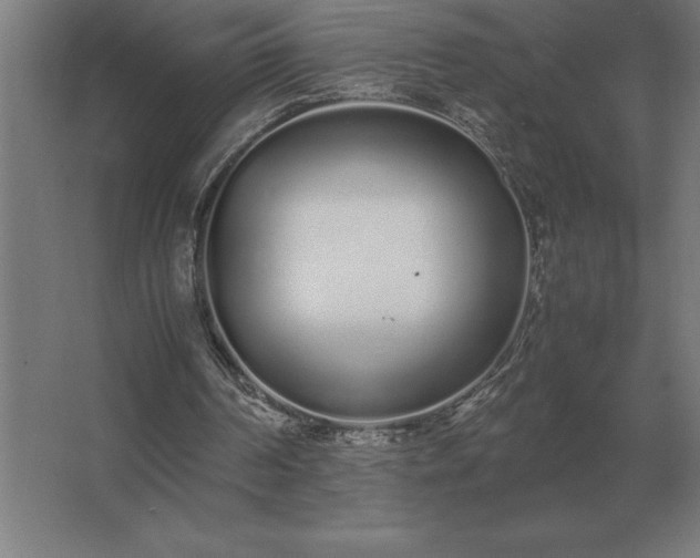 X0000062670194200512281748