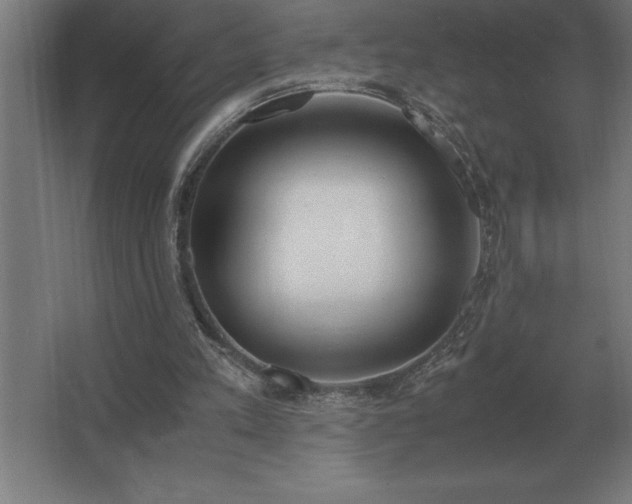 X0000062670197200512281748