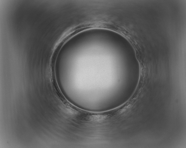 X0000062670198200512281748