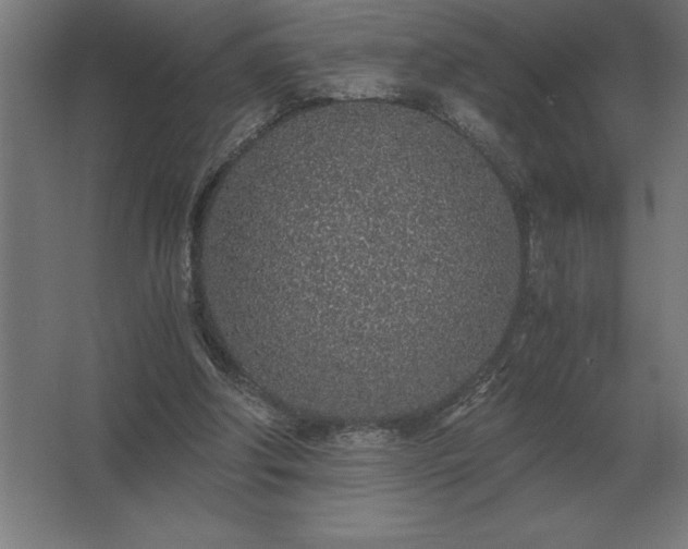 X0000062670202200512281748