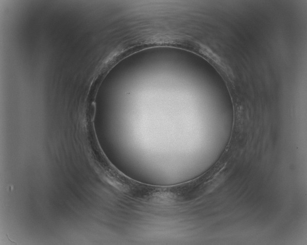 X0000062670203200512281748