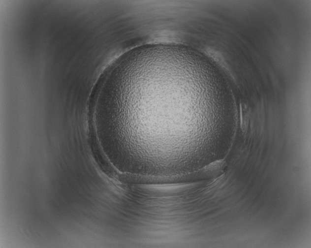 X0000062670204200512281748