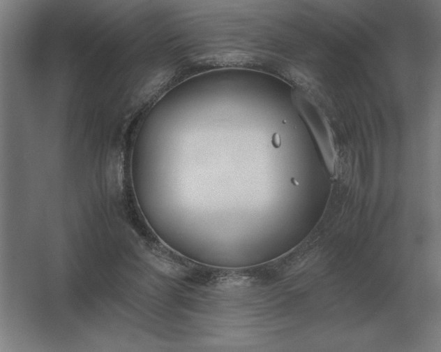 X0000062670206200512281748