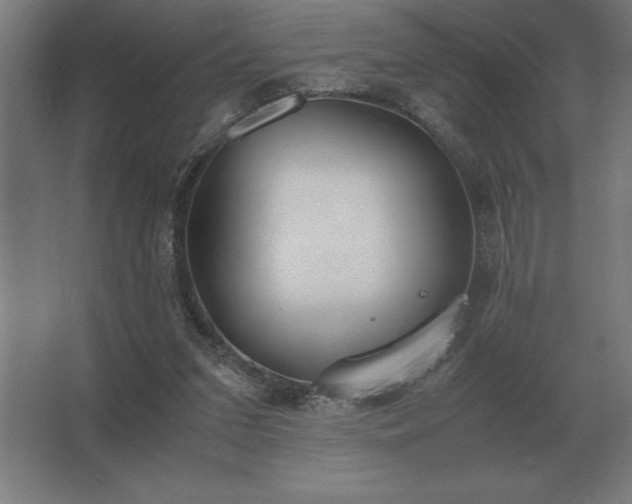 X0000062670207200512281748