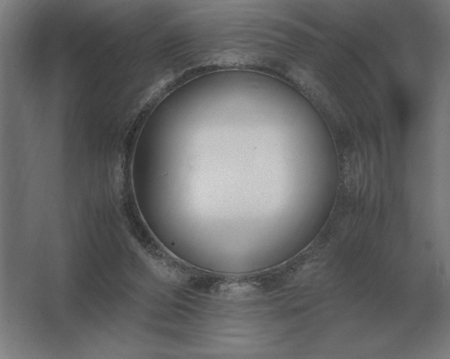 X0000062670208200512281748