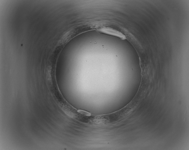 X0000062670209200512281748