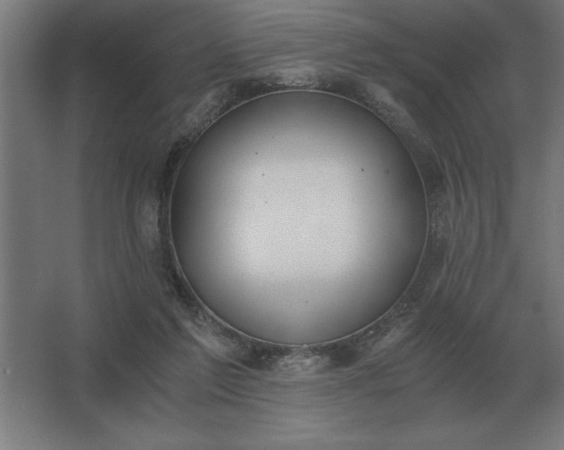 X0000062670213200512281748