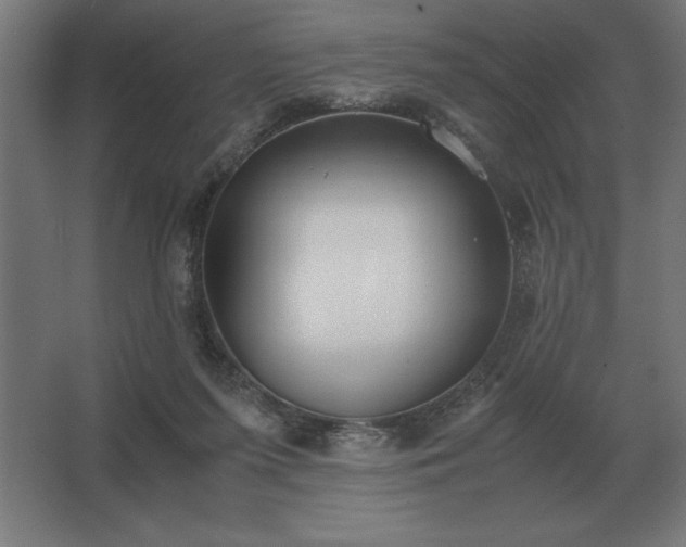 X0000062670215200512281748