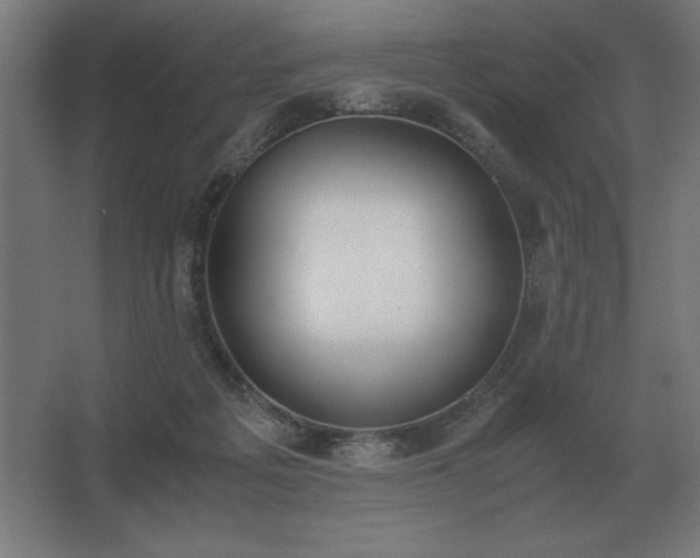 X0000062670217200512281748