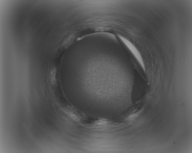 X0000062670219200512281748