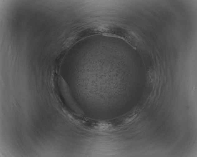 X0000062670223200512281747