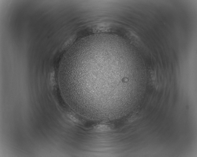 X0000062670224200512281747