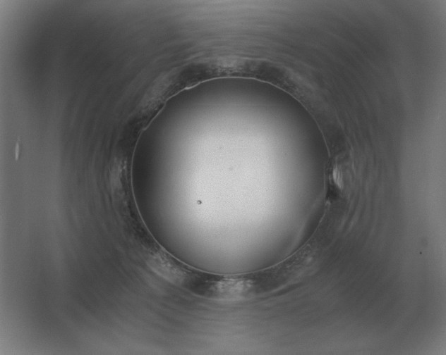 X0000062670225200512281747