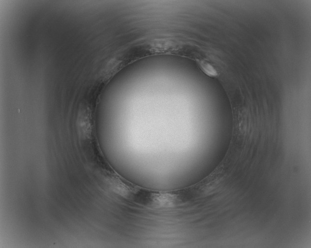 X0000062670226200512281747