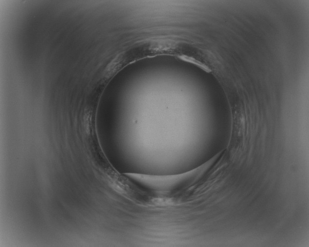 X0000062670227200512281747