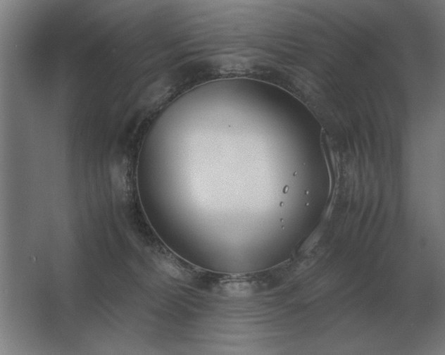 X0000062670228200512281747